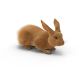 Rabbit.H03.2k Rabbit.H03.2k